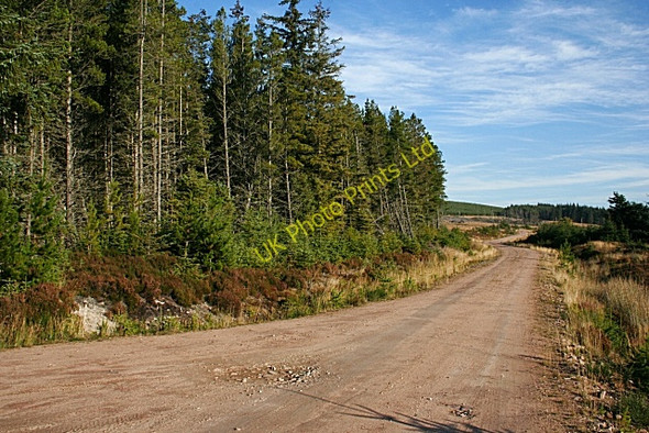 Photo 6"x4" Forest Road near Archiestown Archiestown c2007