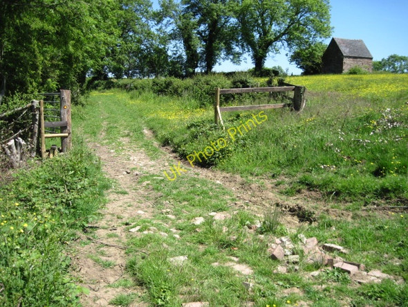 Photo 6"x4" Footpath near Harlow Wood Mayfield\/SK1545 c2010