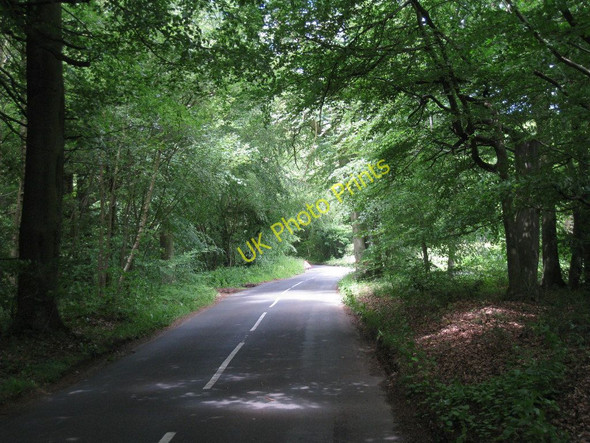 Photo 6"x4" Road Through Fawke Common Godden Green c2010