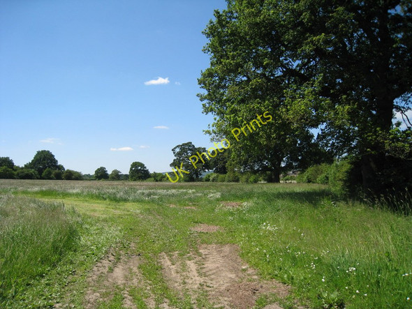 Photo 6"x4" Field off Noah's Ark Childsbridge c2010