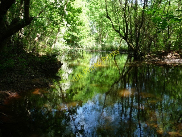 Photo 6"x4" Sellers Wood Pond Bulwell c2010