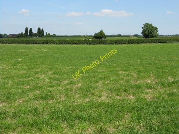 Photo 6"x4" Peaceful Cheshire Arclid Green c2010