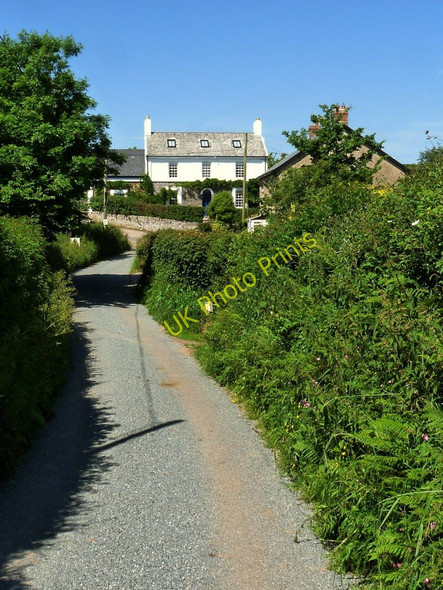 Photo 6"x4" Houses to the West of North Buckland North Buckland c2010