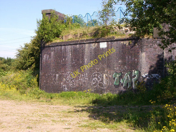 Photo 6"x4" Mersey Vale Nature Park, Bridge Remains Stockport\/SJ8990 c2010
