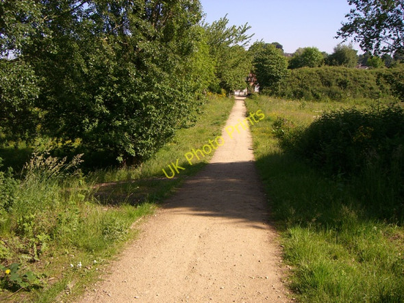 Photo 6"x4" Mersey Vale Nature Park Stockport\/SJ8990 c2010