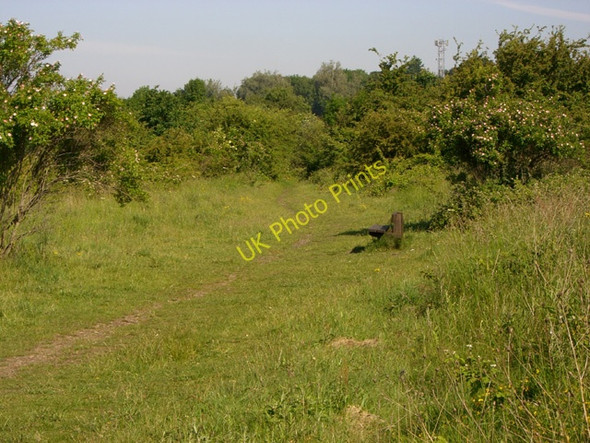 Photo 6"x4" Mersey Vale Nature Park Stockport\/SJ8990 c2010 P1