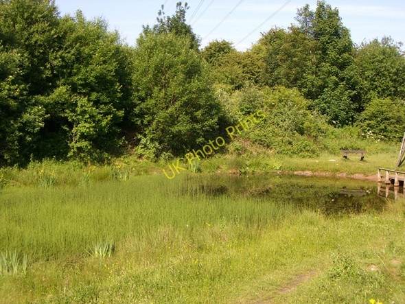 Photo 6"x4" Mersey Vale Nature Park, Pond Stockport\/SJ8990 c2010