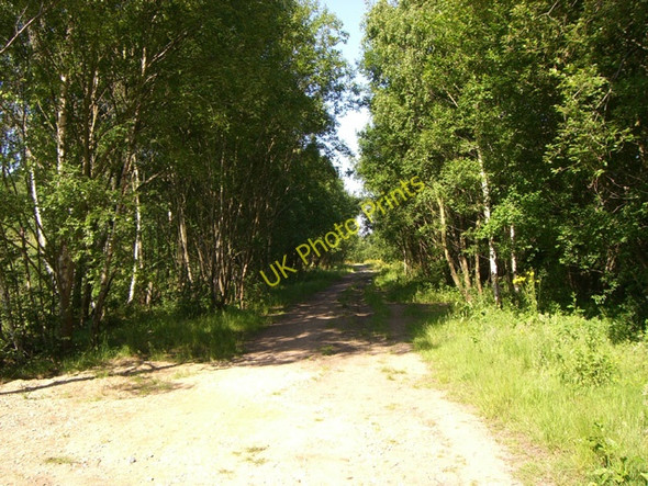 Photo 6"x4" Mersey Vale Nature Park Stockport\/SJ8990 c2010