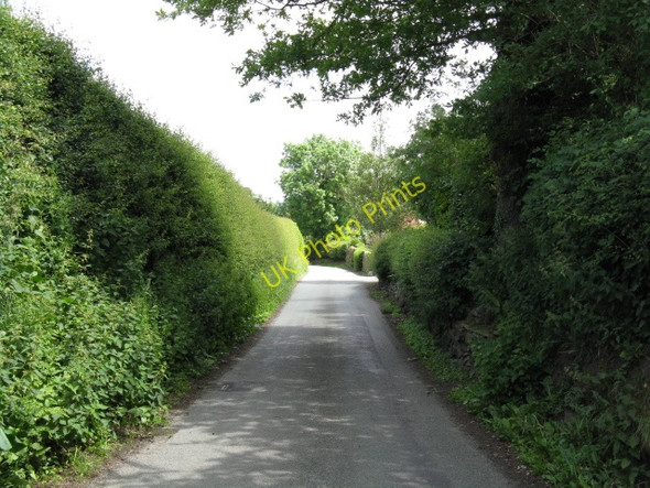 Photo 6"x4" Mill Lane Martin's Moss c2010