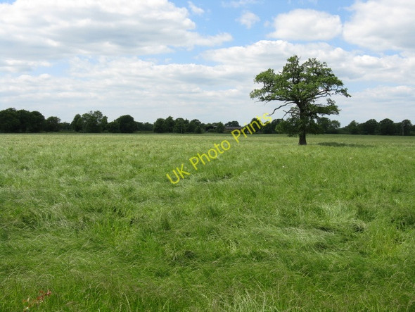 Photo 6"x4" Fields adjoining Mill Lane Brereton Green c2010