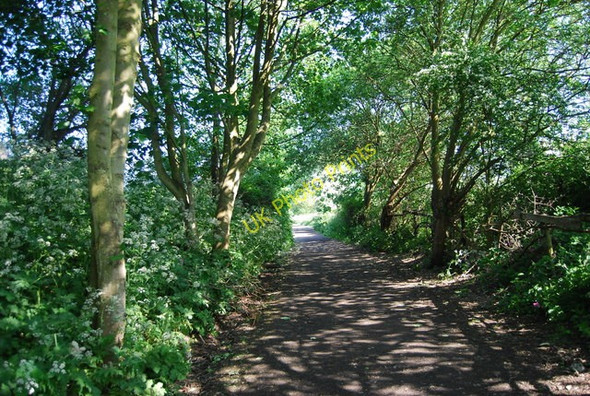 Photo 6"x4" The old railway line Whitby\/NZ8910 c2010