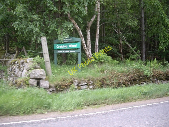 Photo 6"x4" An entrance to Craiglug Wood Kincluny c2010