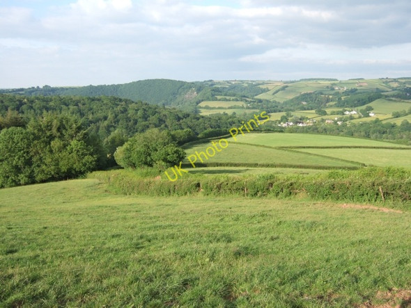 Photo 6"x4" Higherhassels Copse, and field above Cove Cove\/SS9519 c2010