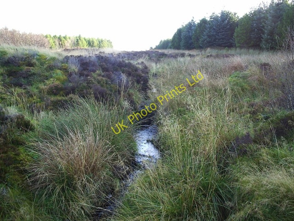 Photo 6"x4" Allt a' mhadaidh-ruaidh F\u00e8ith Osdail c2005