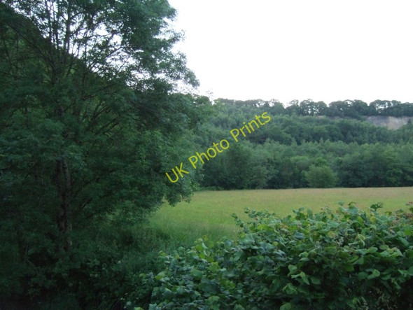 Photo 6"x4" Field beside the River Exe at Cove Cove\/SS9519 c2010