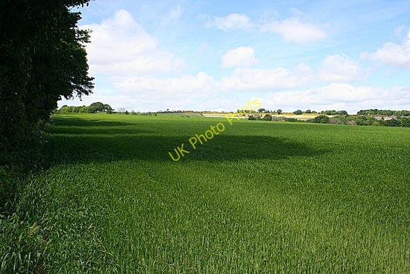 Photo 6"x4" Looking towards Cheyne Kirktown of Fetteresso c2010