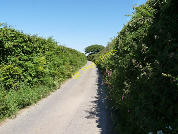 Photo 6"x4" Looking south towards Lobbthorn Stile Darracott\/SS4739 c2010