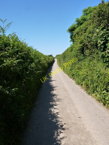 Photo 6"x4" Bottoms Lane heading North Darracott\/SS4739 c2010