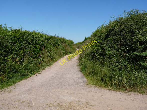 Photo 6"x4" A track which leads from Northfield Lane to North Buckland Darracott\/SS4739 c2010