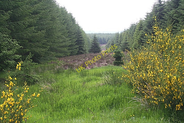 Photo 6"x4" Fire Break Crossroads\/NO7594 c2010