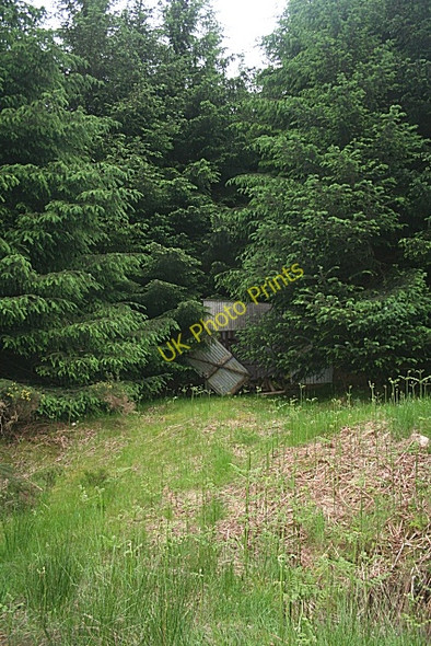 Photo 6"x4" Derelict Shed Crossroads\/NO7594 c2010