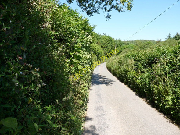 Photo 6"x4" Nethercott Road Nethercott\/SS4839 c2010