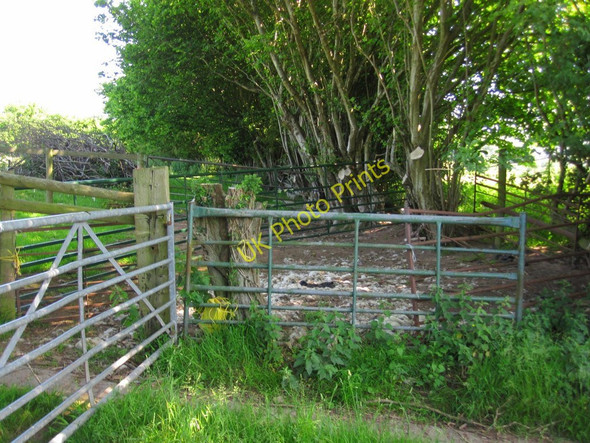 Photo 6"x4" Sheep Pen below Cefn Moel Felindre\/SO1723 c2010