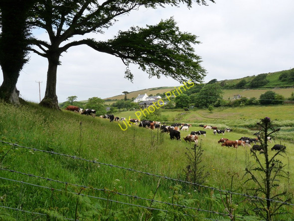 Photo 6"x4" Middle Spreacombe as seen from Chapel Woods Bradwell\/SS4942 c2010