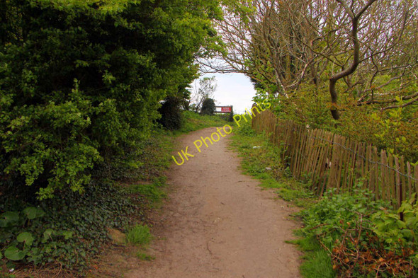 Photo 6"x4" Footpath to the cliff Blackgang c2010