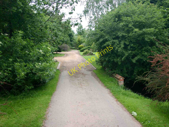 Photo 6"x4" Bridge over Tus Brook Grove End\/SP3039 c2010