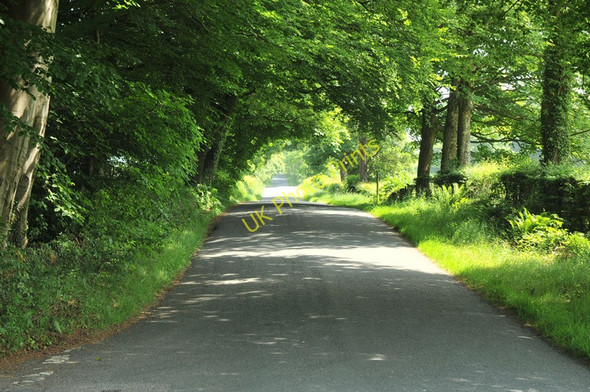 Photo 6"x4" Tree lined road near Swarthdale Over Kellet c2010
