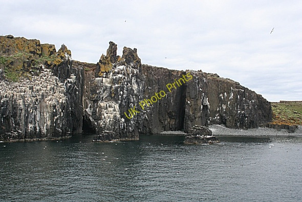 Photo 6"x4" Sea Stacks and Pilgrims' Haven Maiden Hair c2010