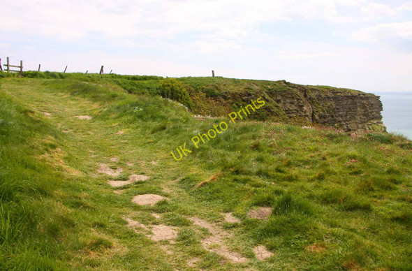 Photo 6"x4" The Coastal Path on Gore Cliff Blackgang c2010