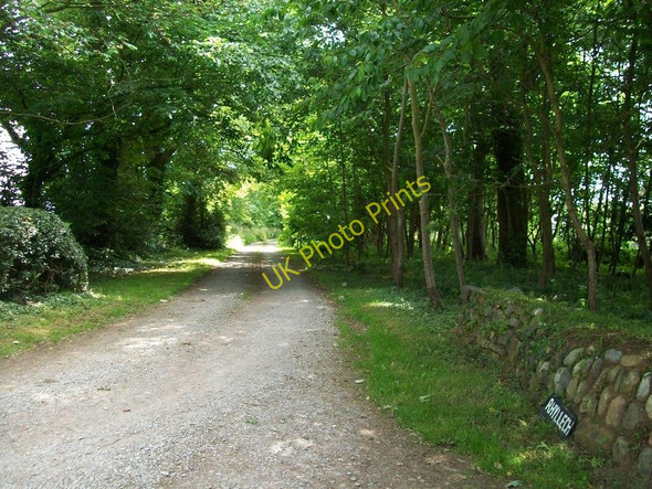 Photo 6"x4" The entrance to Rhyllech Efailnewydd c2010