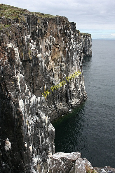 Photo 6"x4" Cliffs near Bishop's Cove Tarbet Hole c2010