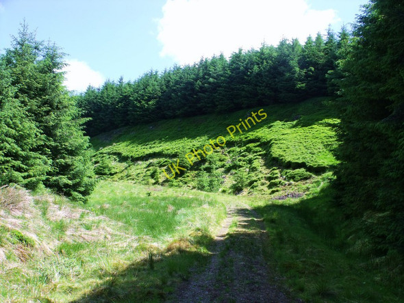 Photo 6"x4" Up the track High Banton c2010