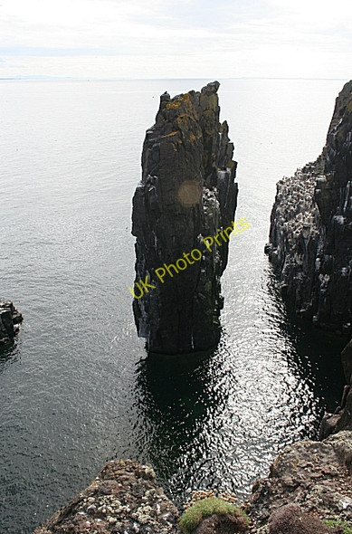 Photo 6"x4" Rock Stack Maiden Hair c2010