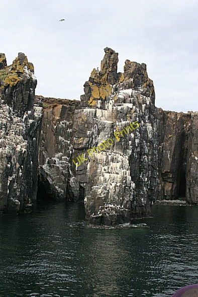 Photo 6"x4" Sea Stack Maiden Hair c2010