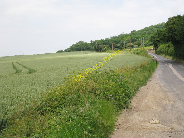 Photo 6"x4" Cropfield along Pilgrims Way Burham c2010