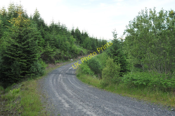 Photo 6"x4" Forestry road in Barcaldine Forest Barcaldine c2010