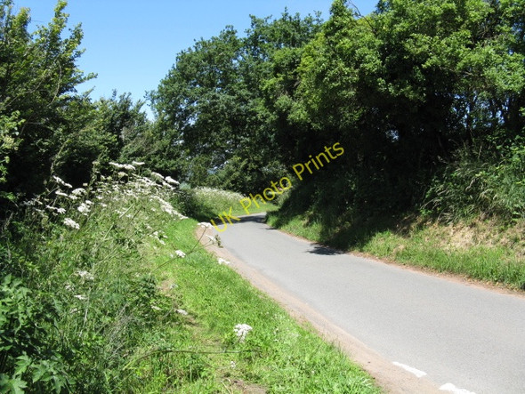 Photo 6"x4" Lane to Bugle Gate Bugle Gate c2010