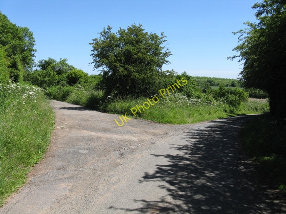 Photo 6"x4" Fork in the lane Acton\/SO8467 c2010
