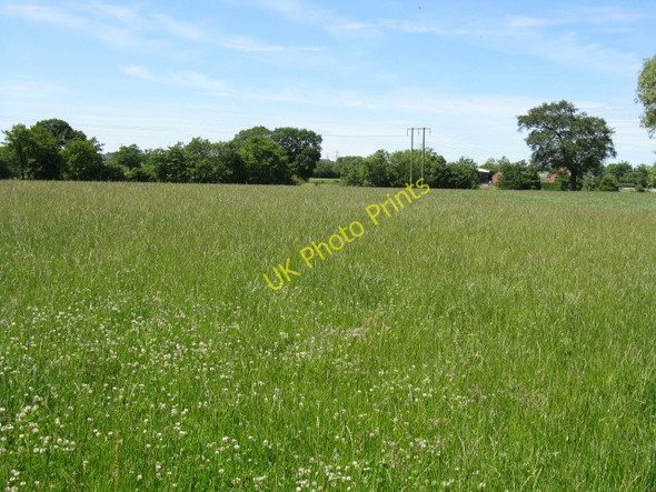 Photo 6"x4" Grassland, Sneads Green Acton\/SO8467 c2010