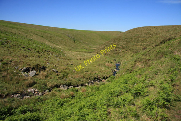 Photo 6"x4" Red-a-ven Brook valley Meldon\/SX5592 c2010
