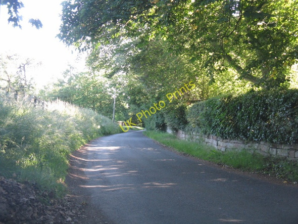 Photo 6"x4" Lane south of Upton Farm crossroads Elmley Lovett c2010