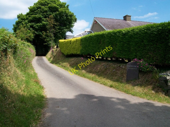 Photo 6"x4" Farm road to Cefn Coch Farm Pwllheli c2010