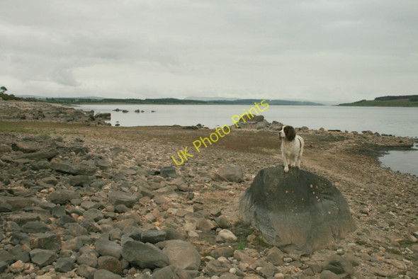 Photo 6"x4" A vantage point on the Airde Achnairn c2010