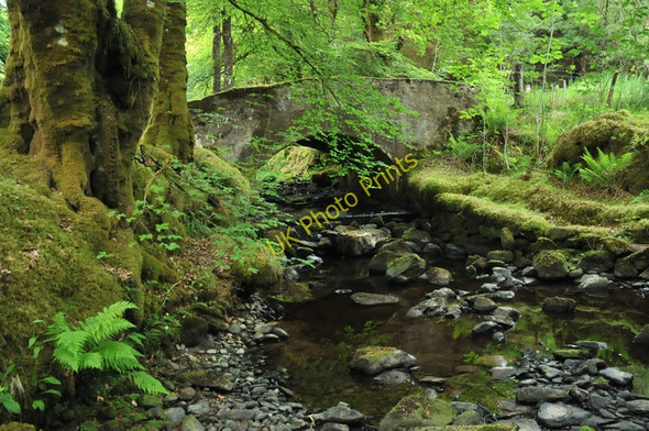 Photo 6"x4" Allt an Dunain Ardanaiseig c2010