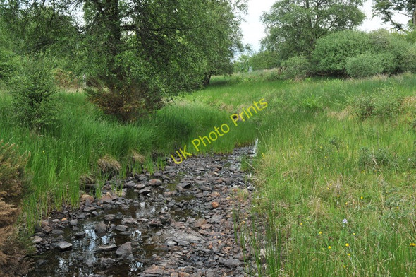 Photo 6"x4" Small stream near Loch Awe Ardanaiseig c2010
