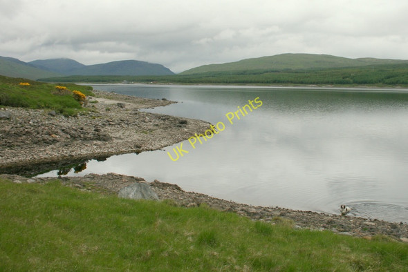 Photo 6"x4" Go on! Throw something! Creanich c2010